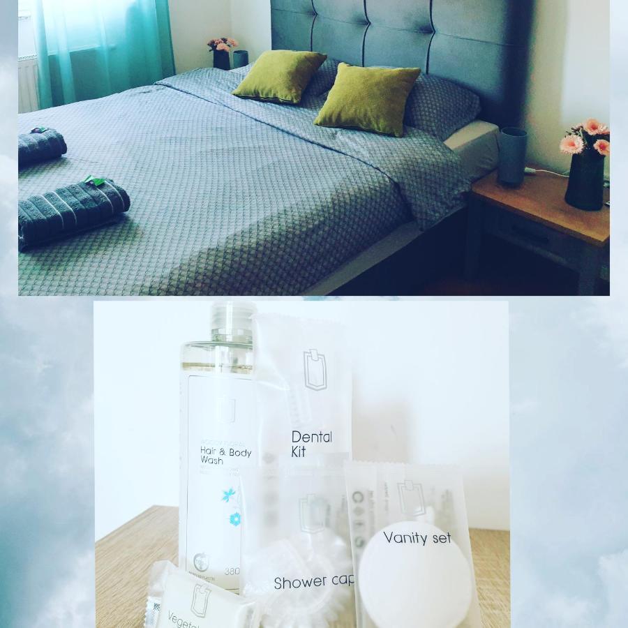 Apartman Angel โอซีเยก ภายนอก รูปภาพ